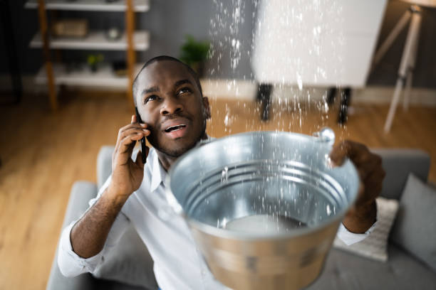 Best Basement water damage restoration  in Lorenzo, TX