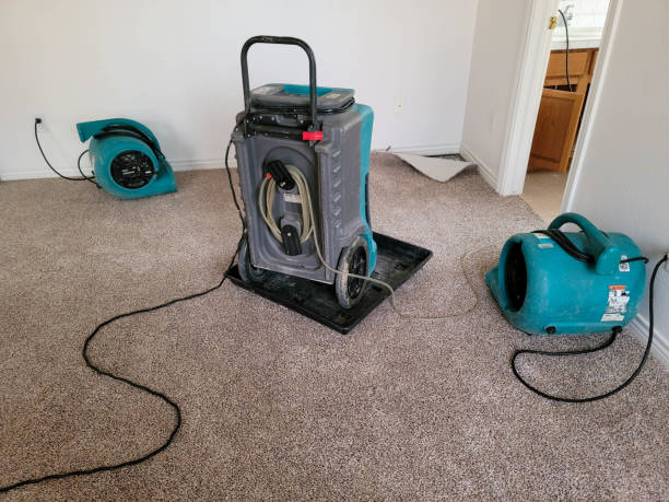 Best Water damage restoration experts  in Lorenzo, TX