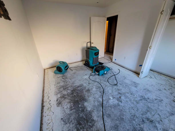 Best Water damage restoration near me  in Lorenzo, TX