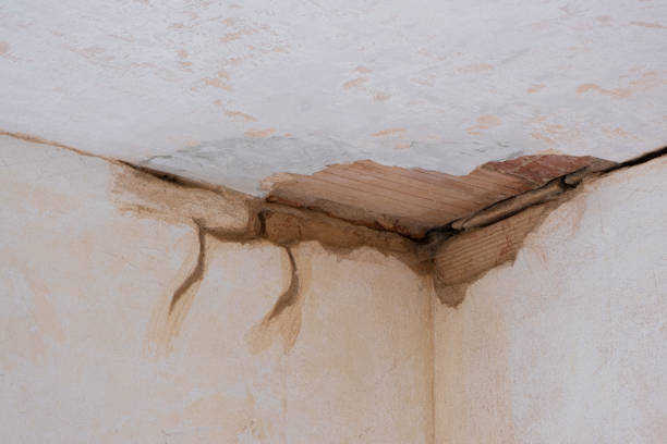 Best 24/7 water damage repair  in Lorenzo, TX