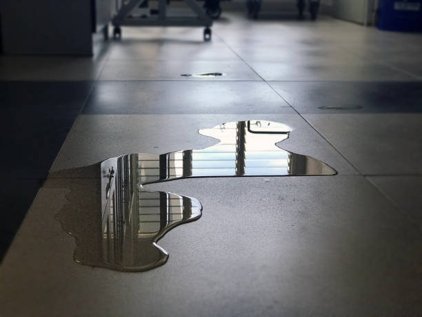Best Carpet water damage restoration  in Lorenzo, TX