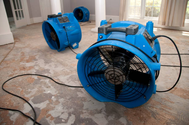 Best Professional water damage repair  in Lorenzo, TX